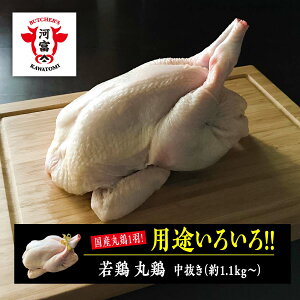 { ی{ Y  1.1kg` Ɩp o[xL[H Lv AEghA _b`I[u BBQ { ۂǂ  ے ܂ǂ H C ۂƈH  ʂ [X