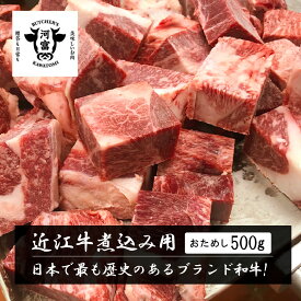 近江牛ネック角切り肉 煮込み用 500g／ お試しサイズ 牛シチュー用 カレー用 本格ビーフシチュー ご馳走 洋食屋さん プロ 食材 煮込み料理 レストラン 大きめカット 訳あり 不揃い 牛肉ブロック 冷凍ブロック 500グラム 黒毛和牛 銘柄牛 ブランド牛 圧力鍋 牛すね肉の代用に