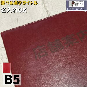 _P2{SALE^a4 b5 t@C ؏z_[  I[_[ ^Cg Ə؏t@C ܏Jo[ Ə؏ i 񖇗p  PUU[ v   ē dv ؏