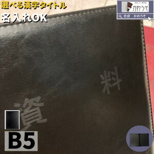 a4 b5 t@C ؏z_[  I[_[ ^Cg Ə؏t@C ܏Jo[ Ə؏ i 񖇗p  PUU[ v   ē dv ؏ iE