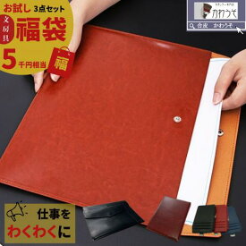 できる男の福袋 メンズ 3点セット 5000円相当 高見え 文具セット 在庫処分 訳あり ビジネス 大人の文房具 小物 バインダー 名刺入れ キーケース 手帳カバー 合皮レザー 新生活 大人コーデ 男性 プレゼント テレワーク 送料無料/かわうそ お試し福袋