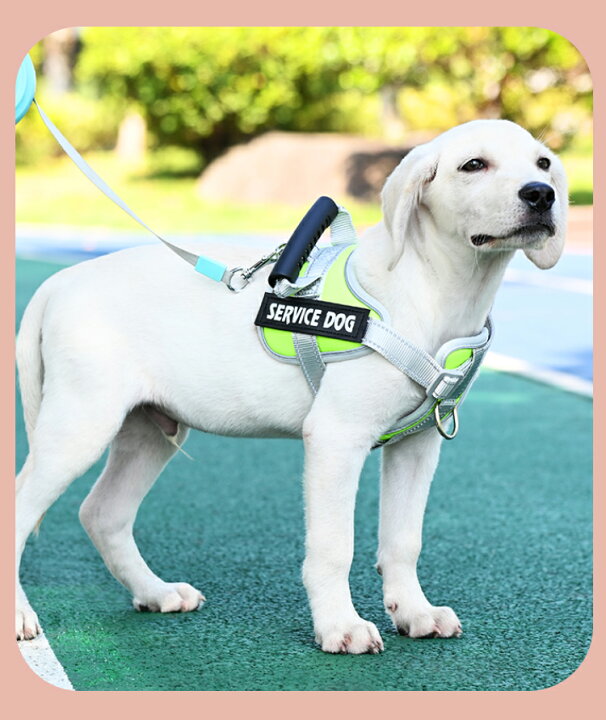 楽天市場】犬 ハーネス 単品 夏 胴輪 大型犬 中型犬 小型犬 可愛い 抜けない 柔らかい 胴巻き ペット用ハーネス メッシュ 通気性 ペット  簡単装着 お散歩 保温 防寒 おしゃれ ペット用品 ペットグッズ 雑貨 犬用 春 秋 冬 反射布付き お出掛け : カワウソっ子