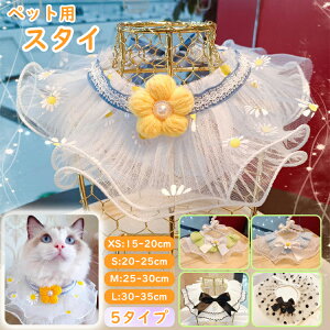 ybgpX^C  悾ꂩ [XX^C ybgp| ybg  ybgObY ybgEGA  L ^ LbgEGA 킢 ybgG  ȒP L[g t
