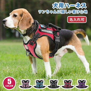 yz  n[lX O   qD  ȒP  Ȃ EȂ  qh~ nht iC CjV h~ ^ ^ ^ 