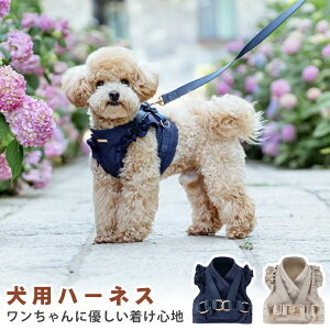 yr[Tz  n[lX  [h ^ Hp 킢 Vv p Lp t ^  tCX[u  EFAn[lX ɂ EȂ bV Eh~ U