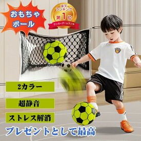 【楽天1位】 おもちゃ ボール 室内用 静音ボール 柔らかい 安全 静音 サッカー 子供用 子ども おもちゃのボール 子供 サッカーネット 7号 5号 サッカーゴール サイレントボール 室内遊び 親子インタラクティブ 万能ボール 屋内アクティビティ 静か