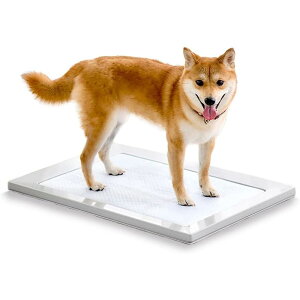 �A�C���X�I�[���} �� �g�C�� �X�N�G�A�h�b�O�g���[ ���ނ��� �}�O�l�b�g ���M�����[ �z���C�g ���􂢉�