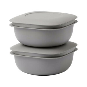 ライクイット (like-it) 蒸気であたためる冷凍ごはん容器 2個組 LBK-21 2P セット グレー 一膳分(160〜200g) 水切れの良い ミニザル付き (電子レンジ/食器洗い乾燥機対応) 日本製