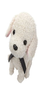 ZKtFCu (SEGA FAVE) RR  N[