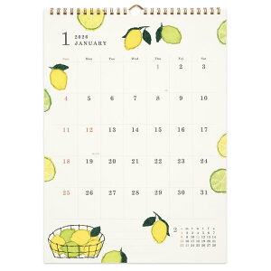 O[eBOCt 2026N J_[ Ē×S NVO Ǌ| C-1665-YZ