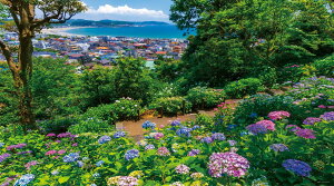 やのまん(Yanoman) 【日本製】1000ピース ジグソーパズル 日本の風景 あじさいと由比ガ浜 (神奈川) (50x75cm) 10-1465 ピース請求ハガキ のり付き へら付き サービスカード付 ジグソーパズルのトリセ