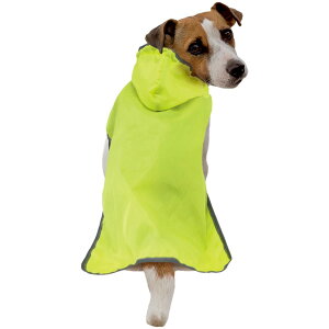 hM[} ChicchaI ppbƒ |Pbg悯JR[g M C pCR[g