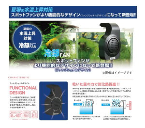 ���i�摜