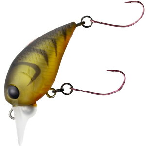 _C(DAIWA) n[NN n[NMR NAS[hXWGr