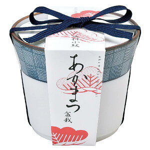 V| t / H ̂Ђ뉀 ܂ߖ~ ~̓Lbg ~j ͔|Lbg Ă ԏ ȒP ͔|Zbg ( R ) ̌a9cm t ̓ ̓ v[g a GD-45204