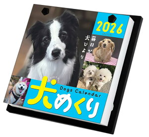 ߂ 2026N J_[ ߂ CK-D26-01