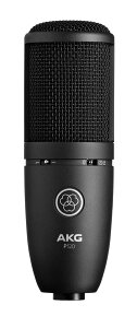 AKG (�A�[�J�[�Q�[) P120 Project Studio Line �y �{�[�J��/�y��̃��R�[�f�B���O�ɍœK ��v�ȃI�[�����^���{�f�B ���S�ȃf�U�C�� ���[�J�b�g�t�B���^�[ �p�b�h���� �J�[�f�B�I�C�h �z �R���f���T