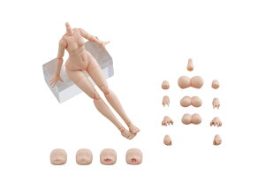 ���������ގ�(AOSHIMA) �����v�� No.KO-01R �q�g�p�[�c�Z�b�g �J���[A non�X�P�[�� ��135mm ABS��PVC�� �F�����ς݃v�����f��