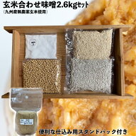 麹が多い 味噌作りセット 無農薬玄米麹の合わせ味噌2.6kg 2倍麹　(仕込み袋付き)【LP】