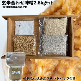 味噌作りセット 無農薬玄米麹の合わせ味噌2.6kg　2倍麹　(仕込み袋付き)
