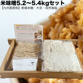 味噌作りセット 米味噌5.2〜5.4kg　2倍麹甘口　(仕込み袋無し)