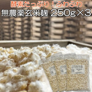 _ č  750g ( 250g×3 Z1kgȏ ) Y  _  y  ȒP  Î  Ђ̑f  yf 