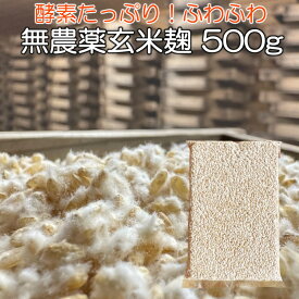 無農薬 玄米麹 乾燥 500g(生麹換算666g以上) 九州産 麹 無農薬 麹菌 発酵器 で 簡単 玄米 甘酒 塩麹 麹漬けの素 こうじ 酵素 糀