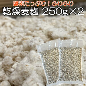  250g×2 Ev500gi  Z666gjEꌧY  唞 gp  X   y  ȒP  ݖ  yf  X 킹X Ȃǂ