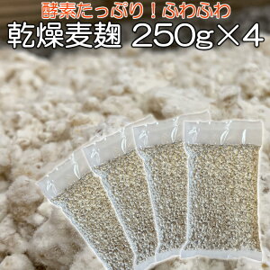   250g×4 v1kgi  Z 1333g ) EꌧY  唞 gp  X   y  ȒP  ݖ  yf  X 킹X Ȃǂ