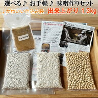 麹が多い 選べる味噌作りセット！お手軽1.3kg　2倍麹甘口 便利な仕込み袋 麦味噌 合わせ味噌 米みそ お味…