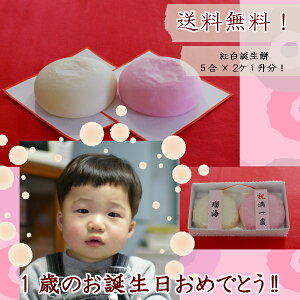 yꏡa݁IIzyIzyZɖOOKzyŒZ2O܂OKzy킯p̂E2Zbgtza/ꏡ/w/ꐶ݁yyMt_̂zN̗ǂw݁Eꐶ