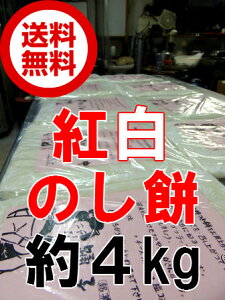 yzyElzp̂/̂/˂/n݁@yg2Zbg 1(2kg)1Ag1(2kg)1zɓ͒Ò̐î - ɂĂāA