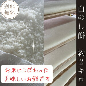 yzyElz/̂/˂/n/p̂݁y2kg×1zɓ͒Ò̐î - Ă݂̂퉷ɂĔ܂B̂ł̂ŁAXiÉ