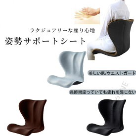 2025年最新 骨盤 矯正 椅子 シート ゆがみ グッズ 姿勢が良くなる 椅子 骨盤 立てるトレーニング デスクワーク 姿勢改善 骨盤 クッション 座椅子 サポート チェア 腰痛 猫背 オフィス デスクワーク 最高品質 プレミアム