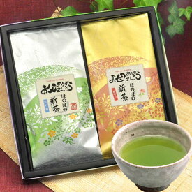 母の日 深蒸し茶 煎茶 お茶 80g 2袋入 お母さん お父さん ペアギフトセット 新茶 母の日 父の日 誕生日 プレゼント 静岡 深蒸し茶 緑茶 煎茶 お茶