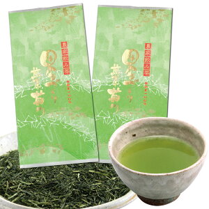 \2個購入で50円OFFクーポン/緑茶 深蒸し茶 田舎作り菊川 100g入×2袋/緑茶 お茶 静岡茶 菊川茶 掛川茶 カテキン緑茶 深蒸し茶 静岡茶