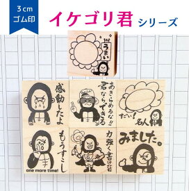 【先生スタンプ】新柄登場！イケゴリ君 スタンプ みました かわいい かっこいい 小学生 宿題チェック ゴム印 はんこ みましたハンコ