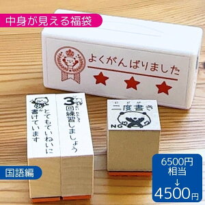 お買い得セット かょのこ パンダ 先生 スタンプ ゴム印 ドリル ご褒美スタンプ 国語 宿題 二度書き じったんぽん 3回書き直し 新作 サイズ 時短スタンプ