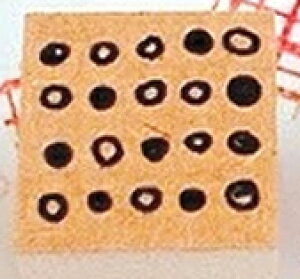 y͗l͂񂱁zwi ͗l ͂ g  ܂ `FbN P[L X^v S CXg 킢 XPW[ 