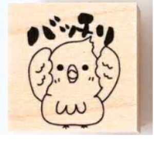 yEJ߂zX^v@搶͂񂱁@X^v@Ԃ@ob`@݂܂@Ă˂łĂ@킢@̂@w