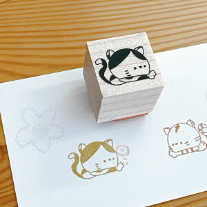 y˂ X^vz蒠 XPW[X^v Zbg L CXg ͂ [ 킢  A fR[V  \Ǘ 蒠fR XPW[ lRD v[g M