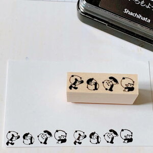 yp_X^vzp_C@ł񂮂肪@@@p_@S@X^v@͂񂱁@obgW[i