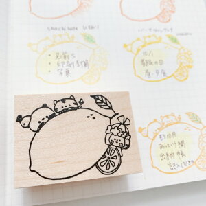 yobgW[iEtⳃX^vz t { X^v 킢 蒠 X^vp_ tⳂ̂悤ȃnR ͗l tⳃX^v