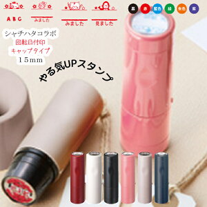 yf[^l[ Lbv]zV`n^ 15.5mm t ͂ X^v ̂ fUC  CXg wZ ] h`FbN  ubN bh 6F 痿n IWi
