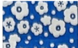 x[V[ {Zbgy͂ȃxցzIׂ2FibhEu[jl킢fRx qɐlC 蒠fRp