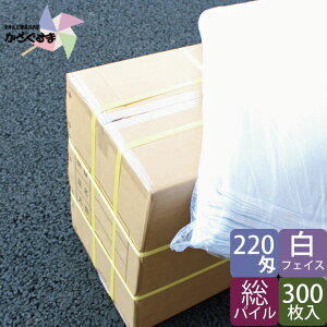 yƖp^Iz tFCX^I  n 220 I[pC 300 yz^I P[X̔ ܂Ƃߔ