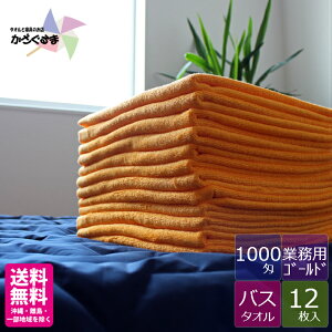 yz y1000zS[hoX^I y12z yƖpz y߁zn 傫 唻 GXeT e@ GXep GXe^I ڍ@ @  }bT[W St ze