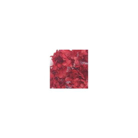 アナベル ヘッド レッド プリザーブドフラワー ドライフラワー 花材 資材 材料 フラワーアレンジメント 小花