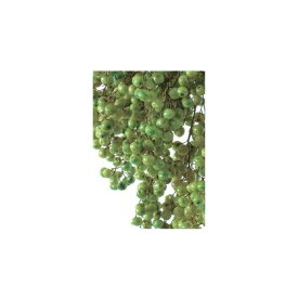 ライトグリーン ペッパーベリープリザーブド プリザーブドフラワー ドライフラワー 花材 資材 材料 フラワーアレンジメント 小花