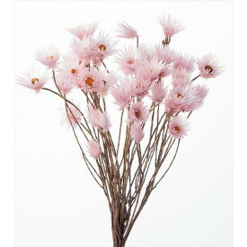 ピンク シャイニーホワイト ドライフラワー 大地農園 プリザーブドフラワー ドライフラワー 花材 資材 材料 フラワーアレンジメント 小花